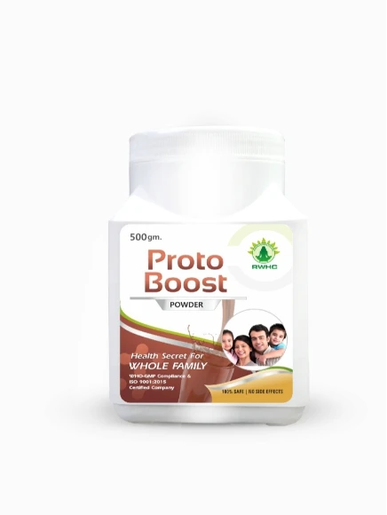 proto Boost powder - 500gm